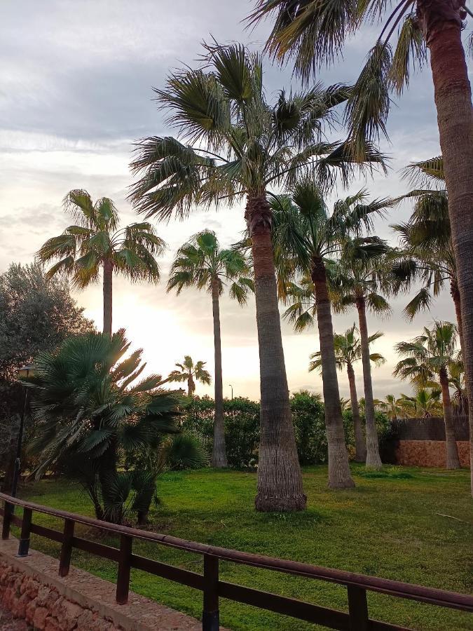 Agroturismo Finca Son Amora Пальма-де-Майорка Экстерьер фото